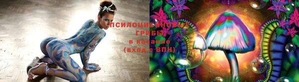 хмурый Алексеевка