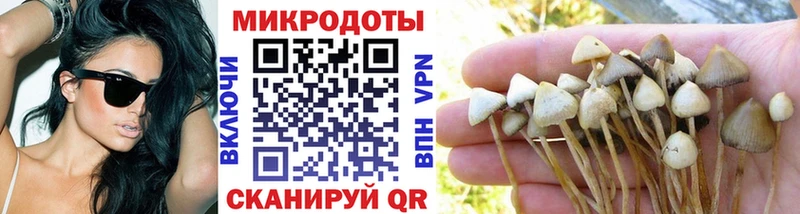 Галлюциногенные грибы Psilocybe закладки OMG Кудрово