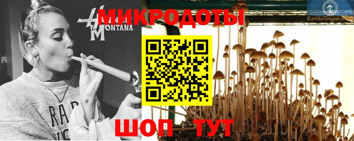 Галлюциногенные грибы Magic Shrooms Кудрово