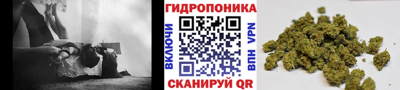 Шишки марихуана White Widow  где купить наркоту  Кудрово 