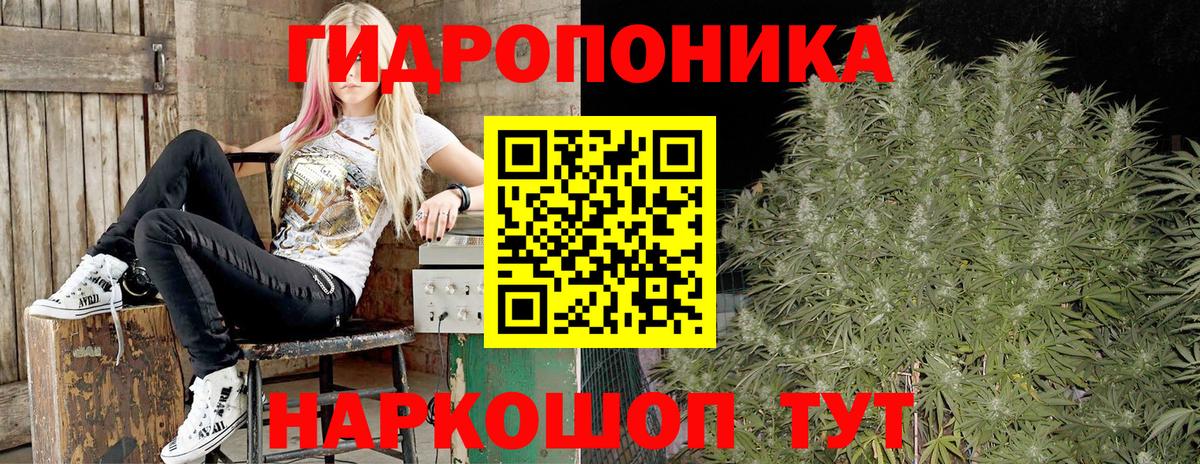 Шишки марихуана AK-47  Вход с VPN  Кудрово  Бошки Шишки MAZAR  Каннабис индика 